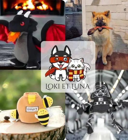 loki et luna présentation